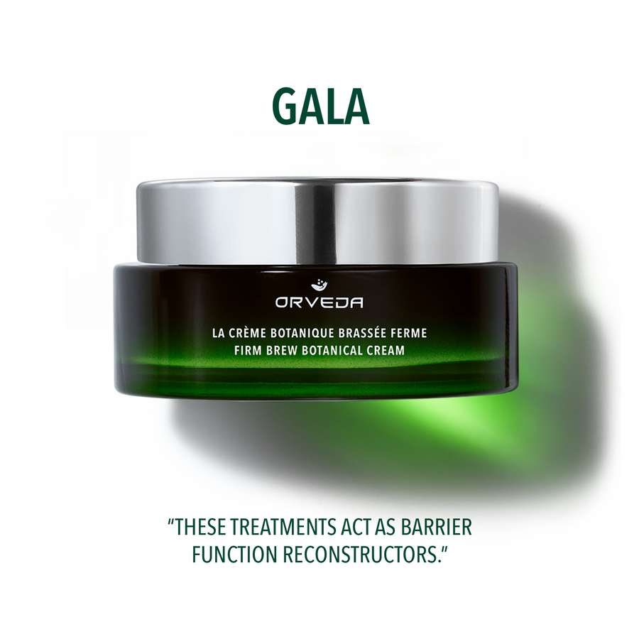 Main header image for article "GALA"