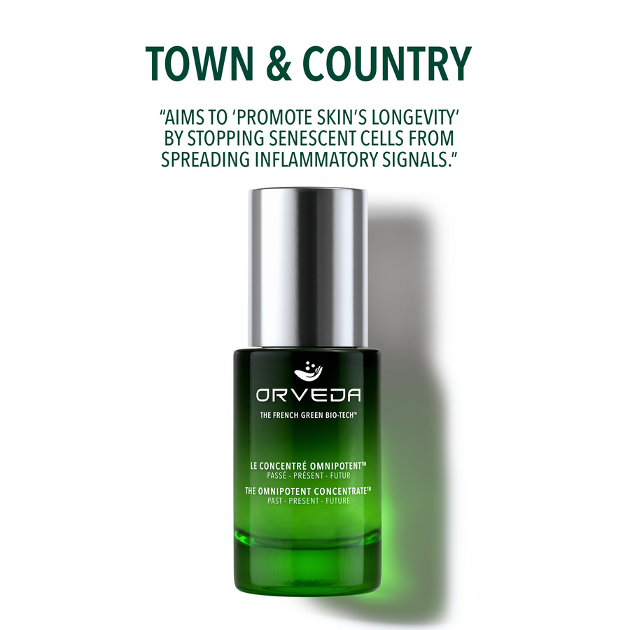 Main header image for article "TOWN & COUNTRY"