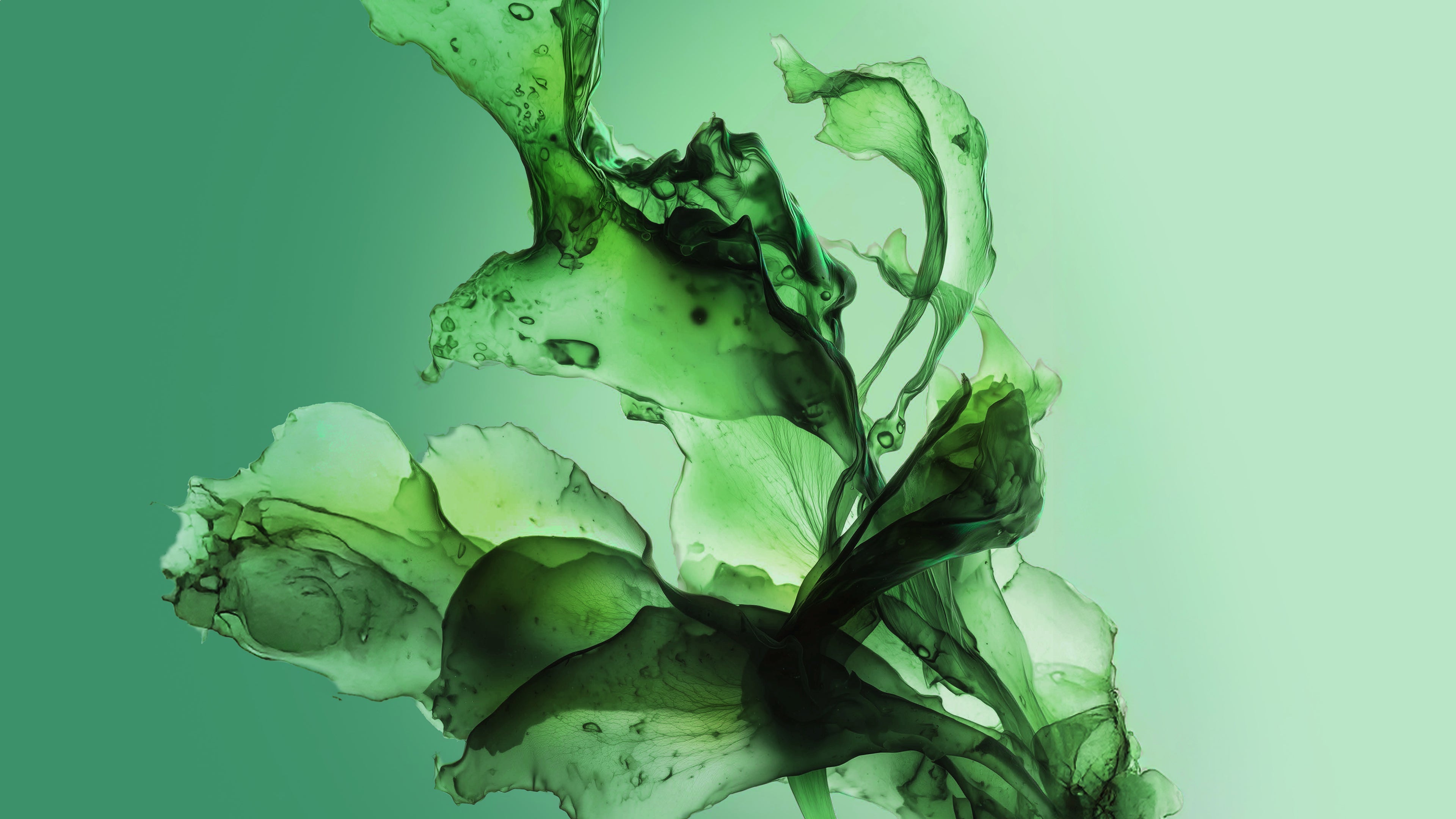 THE HOLIDAY GIFT GUIDE