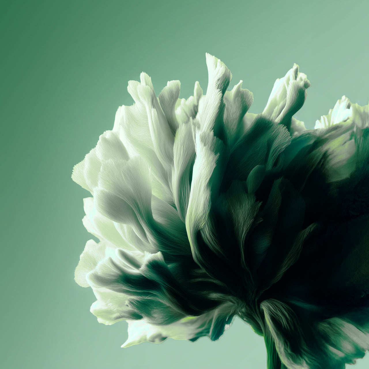 ORVEDA’S BIOTECH SIGNATURE COMPLEX: THE STARTING POINT OF EVERY FORMULA*