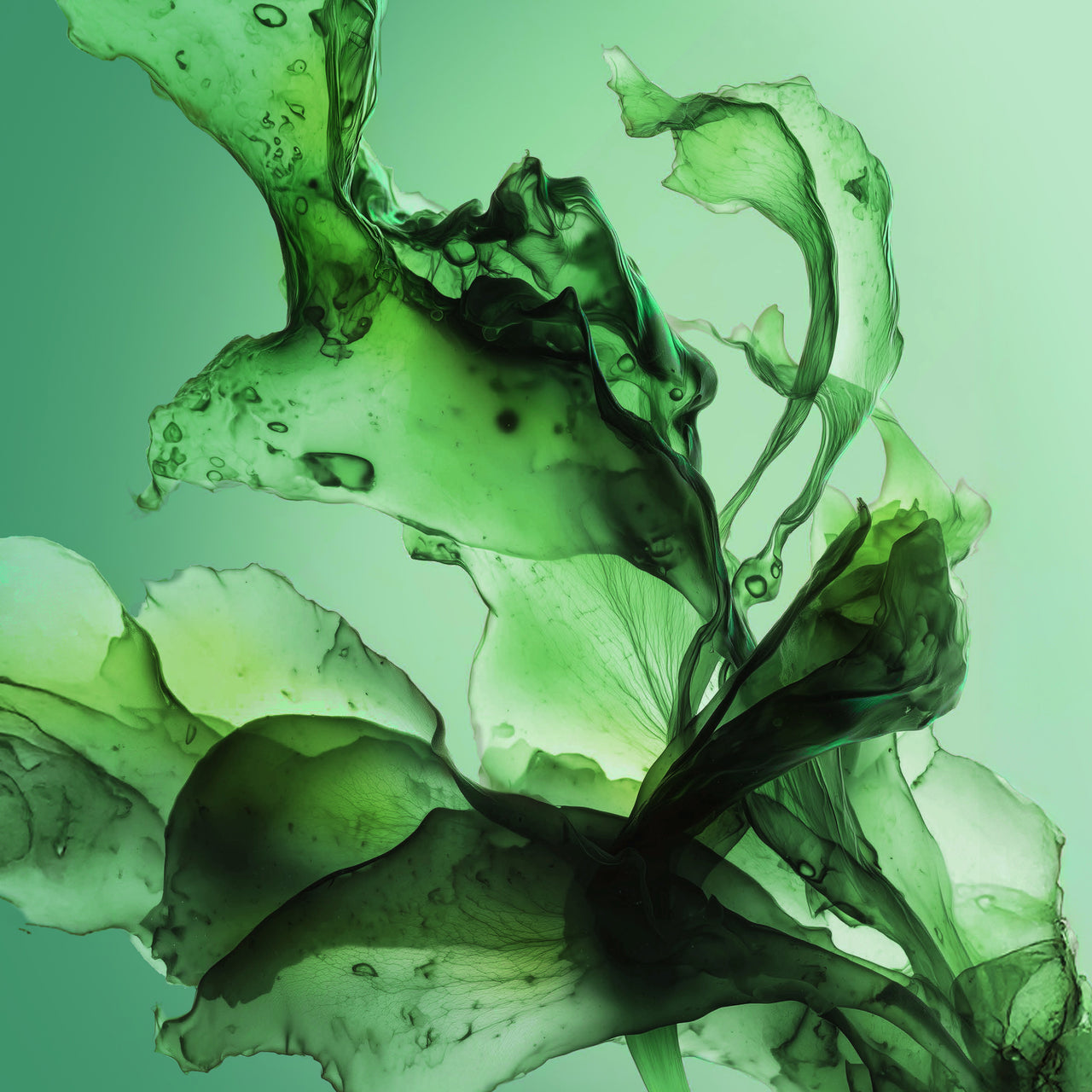 WORKING ON THE 3 STATES OF THE SKIN